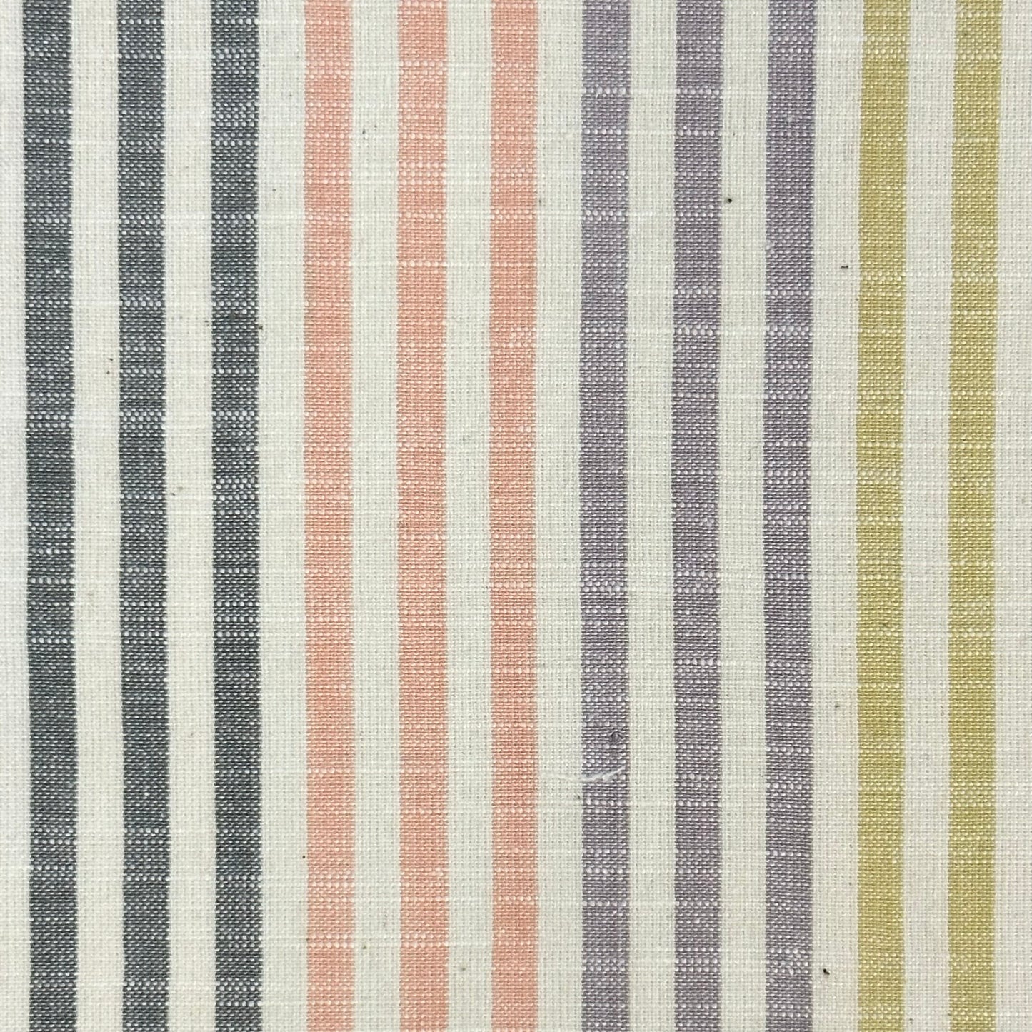 Cabana Stripe | Swiss Cream