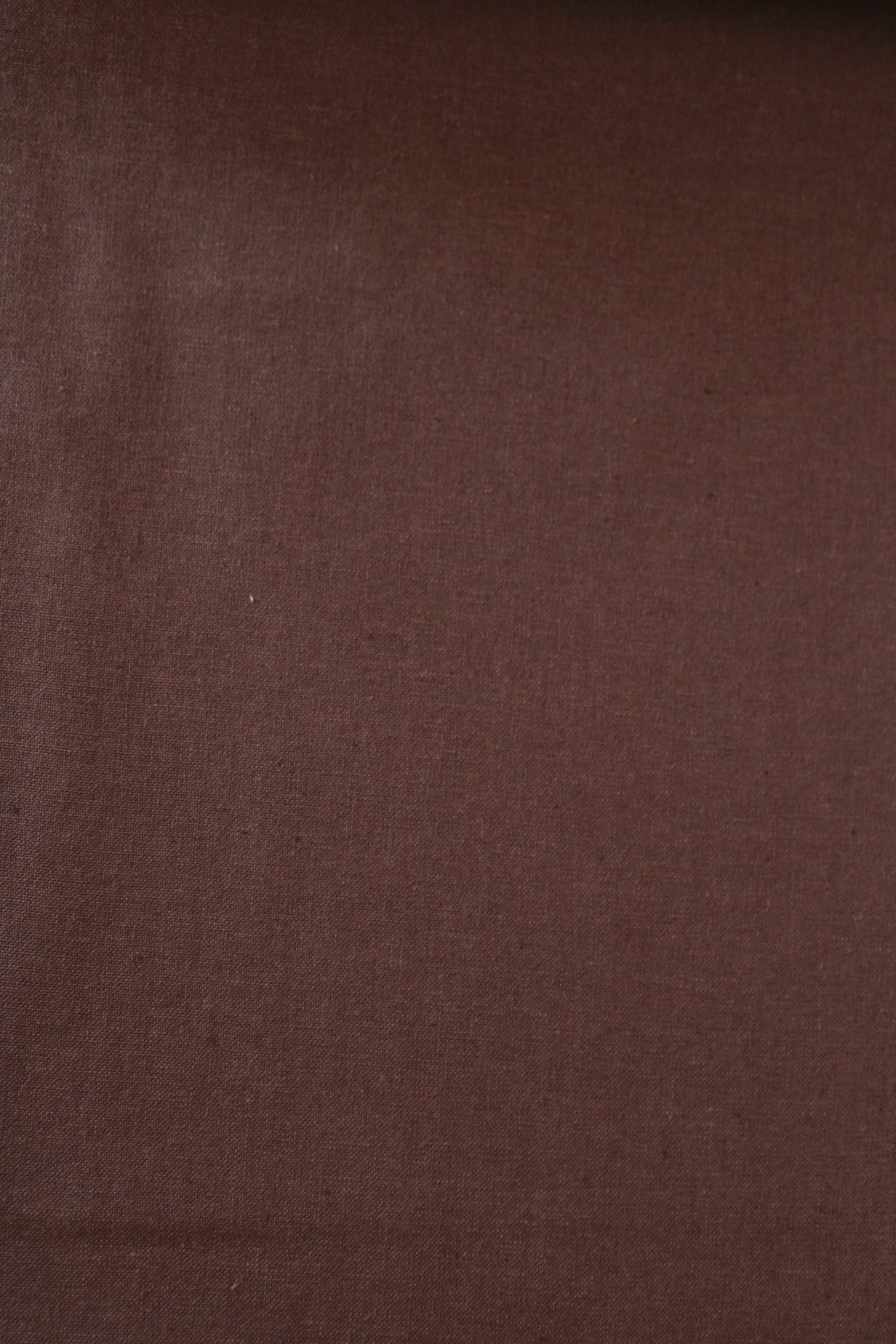 Kent Chambray | Nutmeg