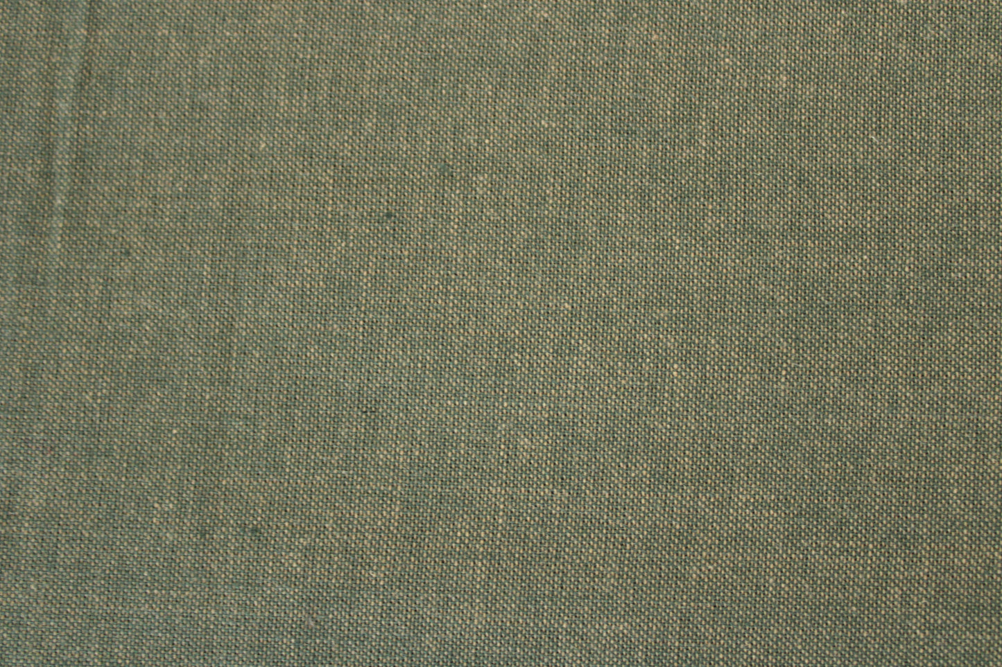 Kent Chambray | Sage
