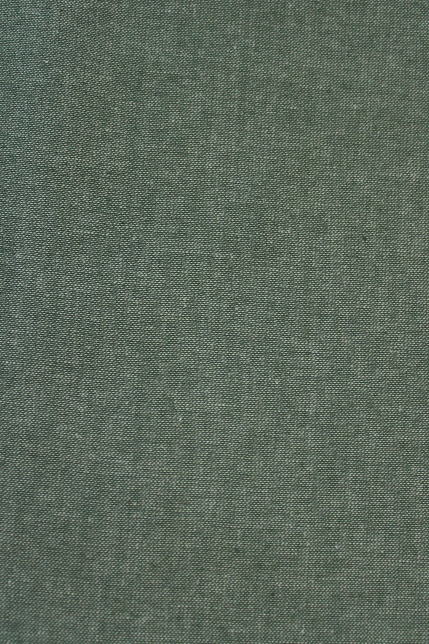 Kent Chambray | Conifer Green