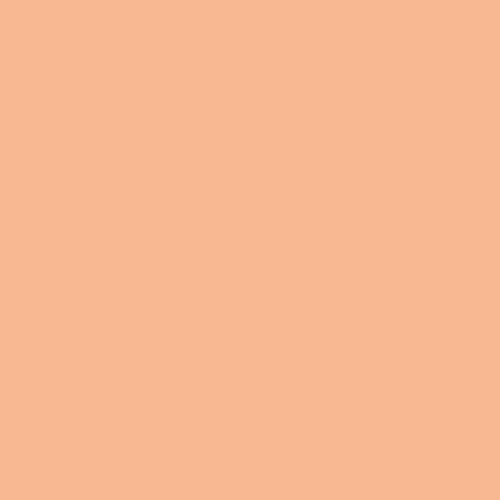 Signature PURE Solids | Shrimpy