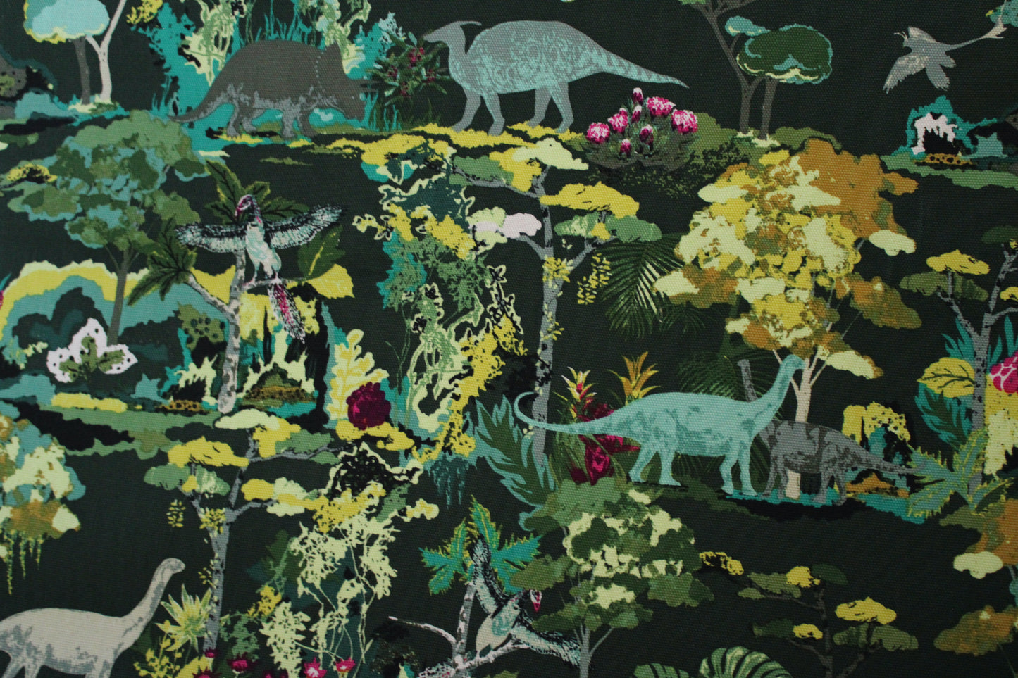 Canvas | Dinosauria | Esoterra | Wide Back